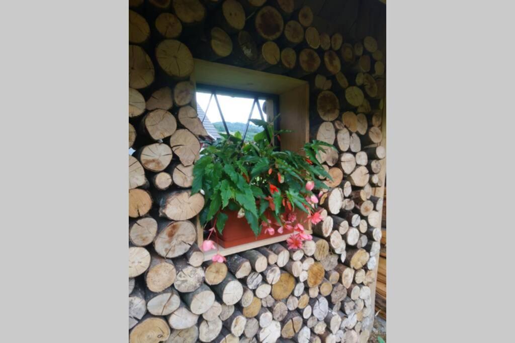 Hut At The Forest Male Brusnice ภายนอก รูปภาพ
