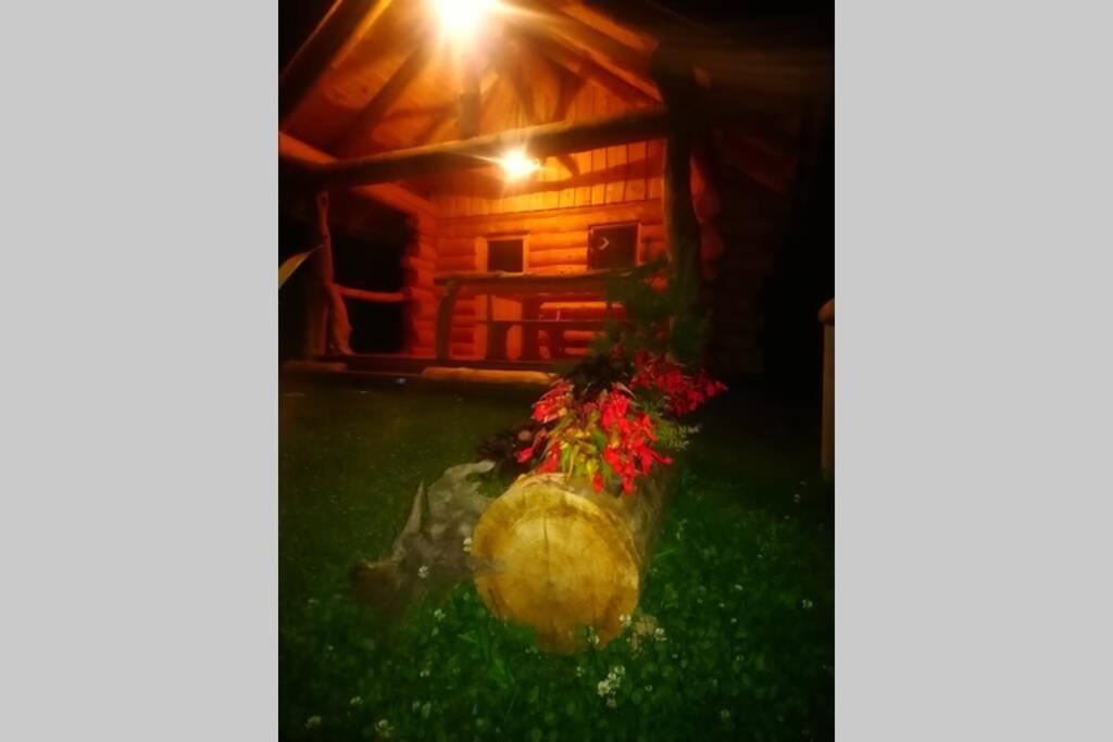 Hut At The Forest Male Brusnice ภายนอก รูปภาพ