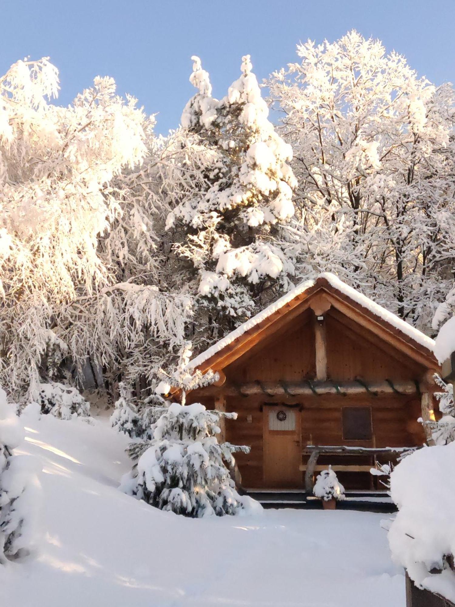 Hut At The Forest Male Brusnice ภายนอก รูปภาพ